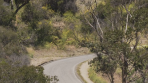 Runyon Canyon spot in the road